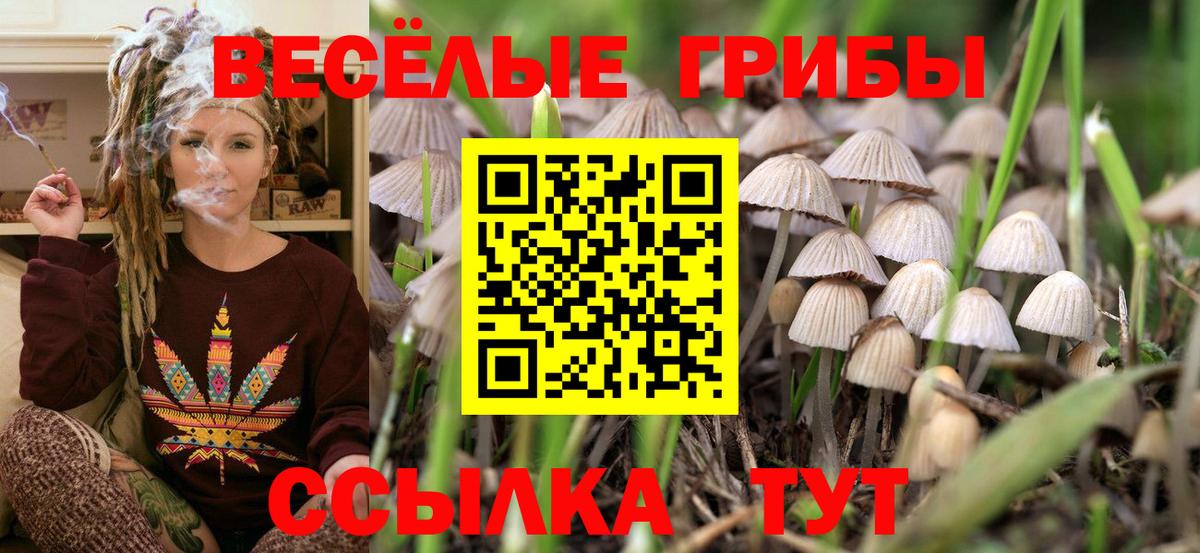 Псилоцибиновые грибы Magic Shrooms Юрга