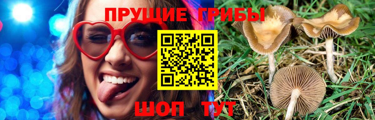 Галлюциногенные грибы прущие грибы  как найти наркотики  Юрга  Вход с VPN  Псилоцибиновые грибы Magic Shrooms 